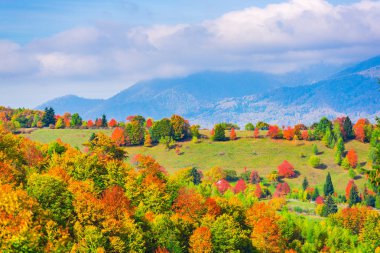 Şaşırtıcı doğa renkli ağaçlar ile