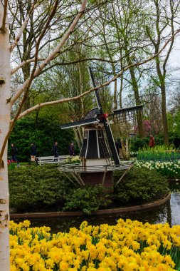 Parkta yel değirmeni dekorasyonu 
