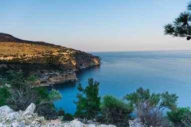 büyüme ile kıyı kayaçların doğal görünümü