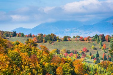 Şaşırtıcı doğa renkli ağaçlar ile