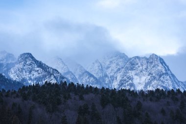 Kabarık kar ve ağaçlarla kaplı inanılmaz dağ manzarası