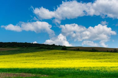 Bulutlu gökyüzü arka plan şaşırtıcı doğa manzaralı