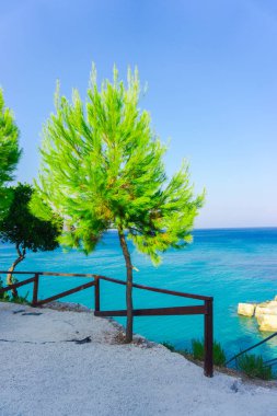 Okyanus arka planda yeşilliklerin inanılmaz doğal görünümü