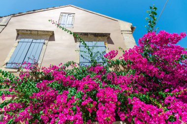 pembe çiçek açan ağaç evi parlak güneş ışığı altında tarafından