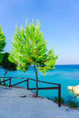 Okyanus arka planda yeşilliklerin inanılmaz doğal görünümü