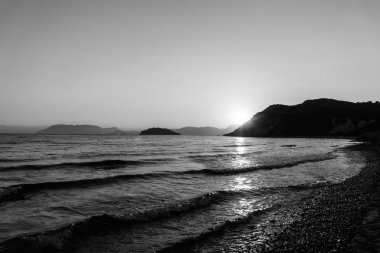 okyanusun pasifik kıyısı