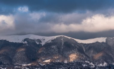Karlı ağaçlar şaşırtıcı Doğa Manzaralı