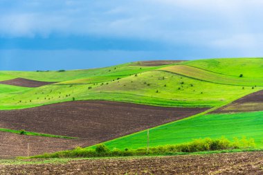 Yaz gününde inanılmaz manzara