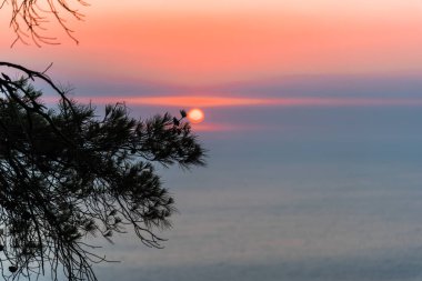 Arka planda dramatik gün batımı gökyüzü ile ağaç dalları