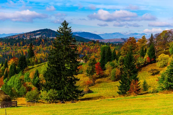 Erstaunliche Natur Mit Bunten Bäumen Ringsum — Stockfoto