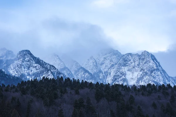 Atemberaubende Aussicht Auf Die Berge Mit Flauschigem Schnee Und Bäumen — Stockfoto