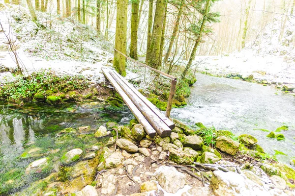 Lago Água Clara Inverno — Fotografia de Stock