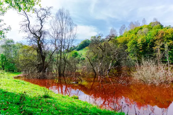 Impresionante Vista Naturaleza Con Río Color Naranja Árboles Verdes Alrededor —  Fotos de Stock