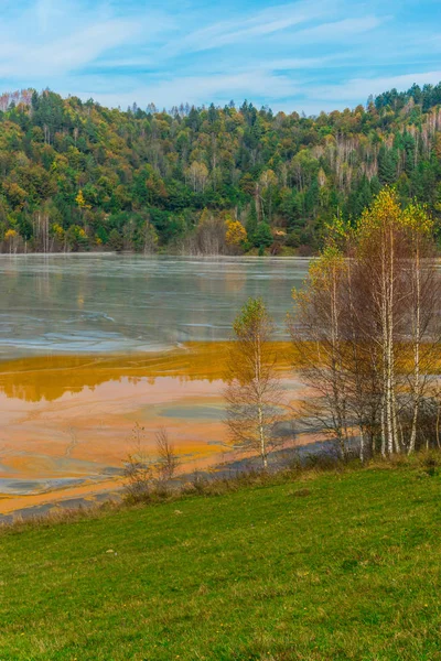 Impresionante Vista Naturaleza Con Río Color Naranja Árboles Verdes Alrededor —  Fotos de Stock