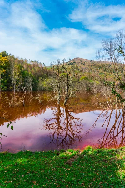 令人敬畏的自然景观与红色的河流和绿色的树木周围 — 图库照片