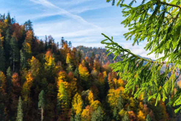 Faszinierende Natur Bergblick Mit Viel Grün Und Blauem Bewölkten Himmel — Stockfoto