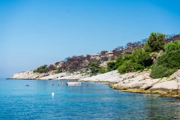 Sommer Zeit Natur Szenische Ansicht — Stockfoto