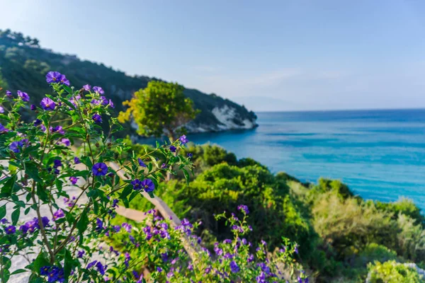 Fascinerande Natur Med Utsikt Över Bergen Ocean Och Blå Himmel — Stockfoto