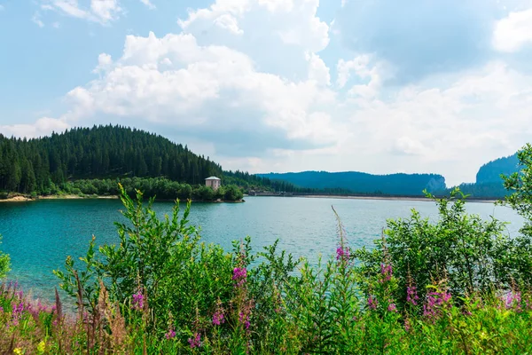 Amazing nature with lake and greenery around