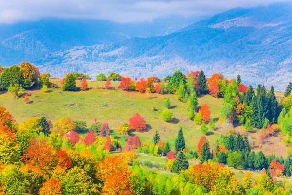 Şaşırtıcı doğa renkli ağaçlar ile