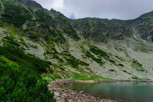 Hochlandsee Aus Nächster Nähe — Stockfoto