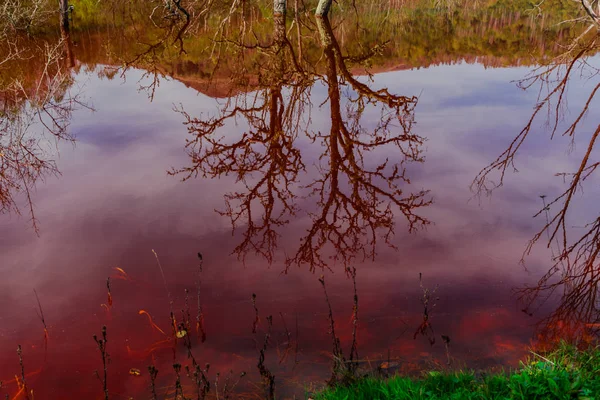 Vista Impressionante Natureza Com Laranja Colorido Rio Árvores Verdes Redor — Fotografia de Stock