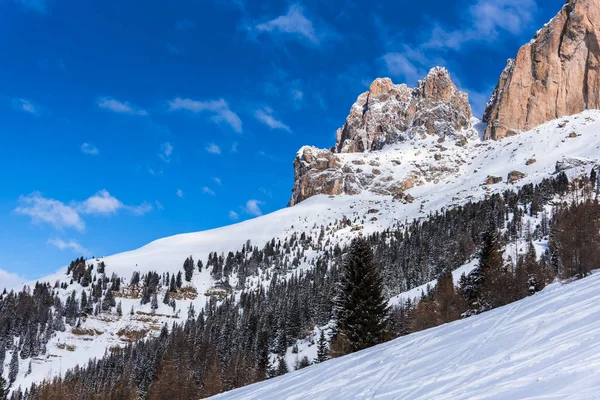 Vista Incrível Natureza Com Árvores Nevadas — Fotografia de Stock