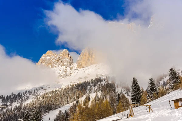 Vue Imprenable Sur Nature Avec Des Arbres Enneigés — Photo