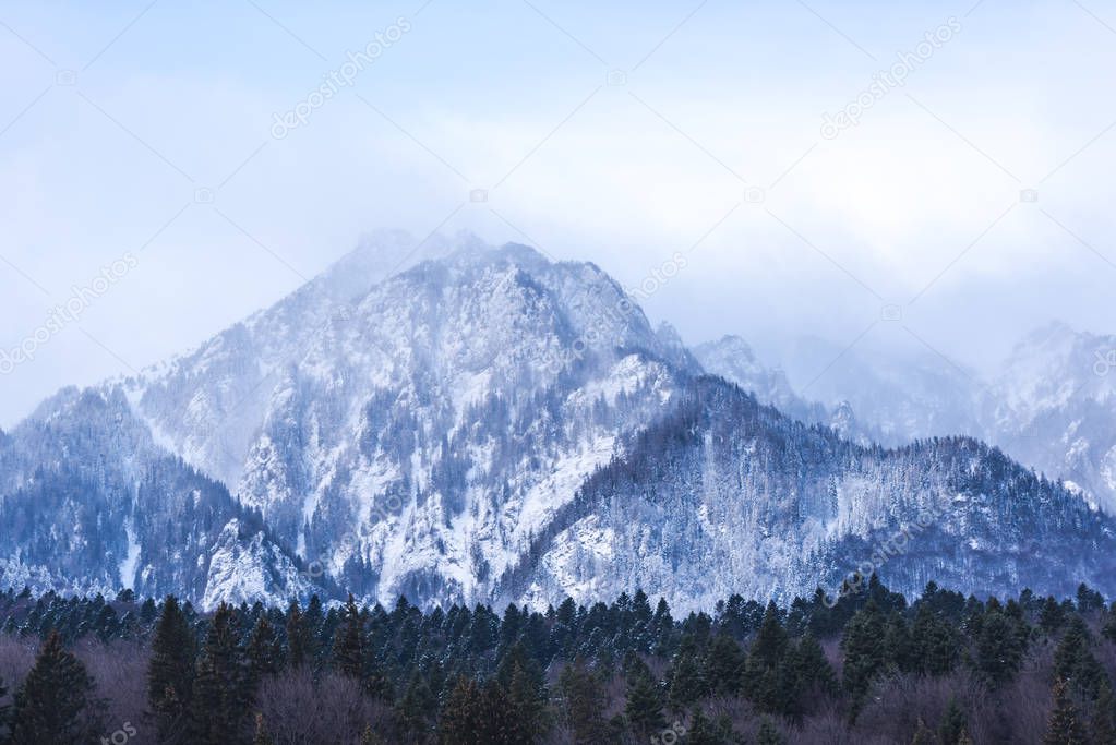 Amazing mountain view covered with fluffy snow and trees