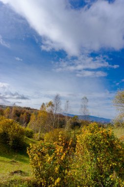 Ağaçlar ve bulutlu gökyüzü arka plan şaşırtıcı doğa manzaralı