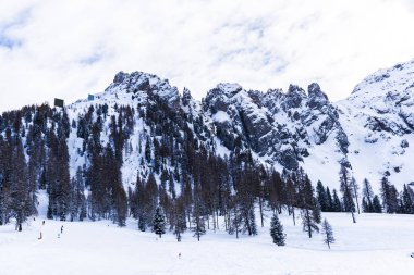 Karlı ağaçlar şaşırtıcı Doğa Manzaralı
