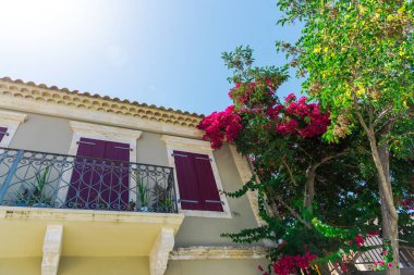 pembe çiçek açan ağaç evi parlak güneş ışığı altında tarafından