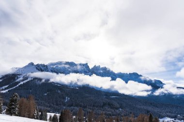Karlı ağaçlar şaşırtıcı Doğa Manzaralı