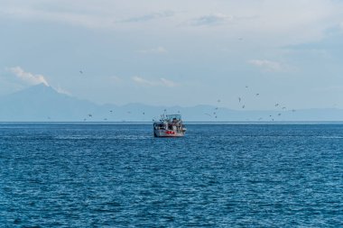 yaz doğa manzaralı 