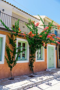 Küçük tatil evi tarafından yeşil çiçek açan ağaçlar
