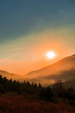 Ağaçlar ve gün batımı arka plan şaşırtıcı Doğa Manzaralı