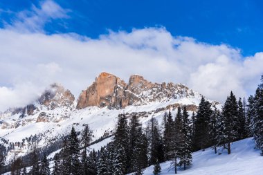 Karlı ağaçlar şaşırtıcı Doğa Manzaralı