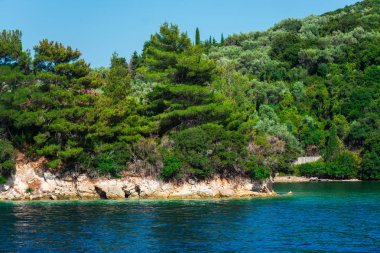 Kıyı alanı görünümünü deniz ve mavi gökyüzü ile gür yeşilliklerle kaplı