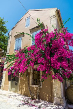 pembe çiçek açan ağaç evi parlak güneş ışığı altında tarafından