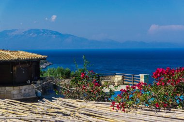 Arka planda güzel deniz manzarası ile Çiçekler