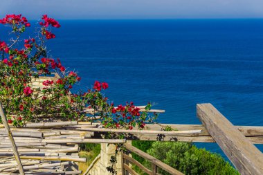 Okyanus görünümü arka planda sevimli çiçekler