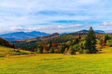 Şaşırtıcı doğa renkli ağaçlar ile
