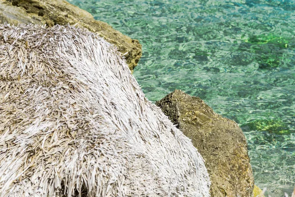 Fascinante Vista Natural Mar Com Enormes Rochas — Fotografia de Stock