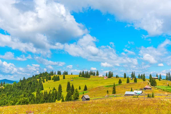 Erstaunliche Natur Mit Bunten Grünen Bäumen Ringsum — Stockfoto