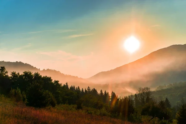 Atemberaubender Blick Auf Die Natur Mit Bäumen Und Sonnenuntergang — Stockfoto