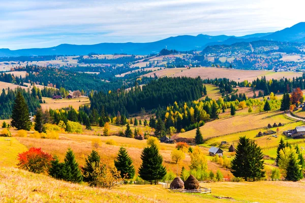 Erstaunliche Natur Mit Bunten Bäumen Ringsum — Stockfoto