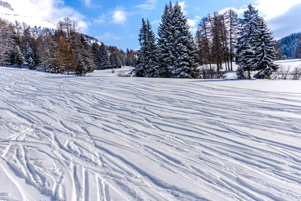 Increíble Vista Naturaleza Con Árboles Nevados —  Fotos de Stock