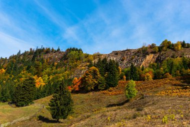 Şaşırtıcı doğa renkli ağaçlar ile