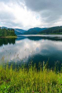 Nehir ve yeşil ağaçlar etrafında Awesome doğa görünümü