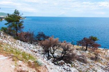 yaz doğa manzaralı 